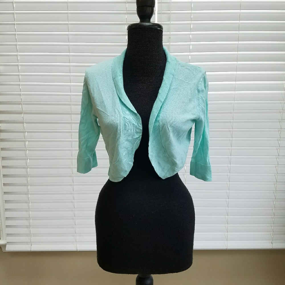 Crop top short sleeve sweater, mint